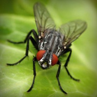 /album/destversaupret/photolia-a01-jpg/