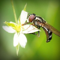 /album/destversaupret/photolia-a02-jpg/