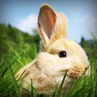 /album/destversaupret/photolia-a03-jpg/